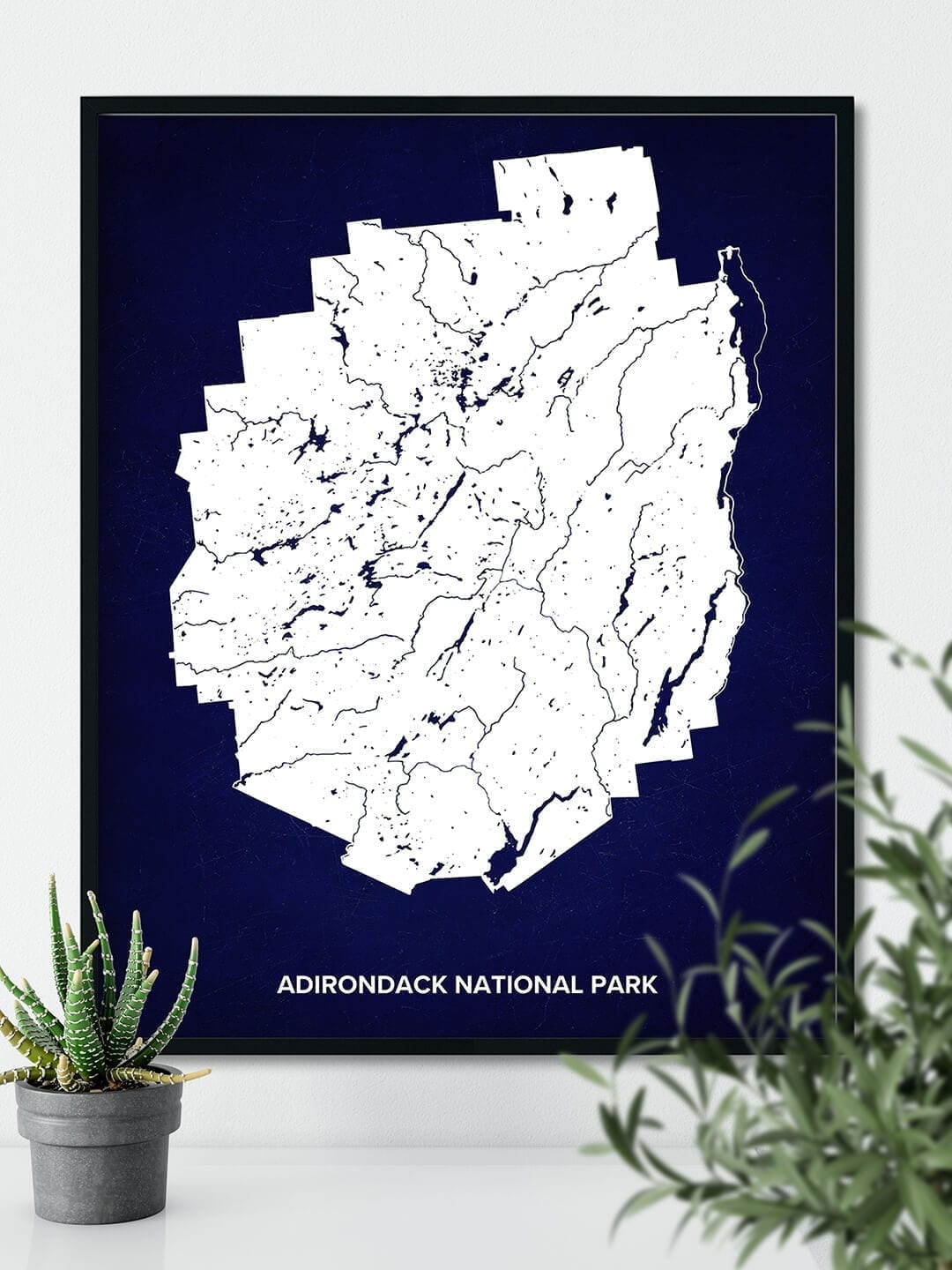 Adirondack National Park Map Poster hanging on the bright wall next to some indoor plants