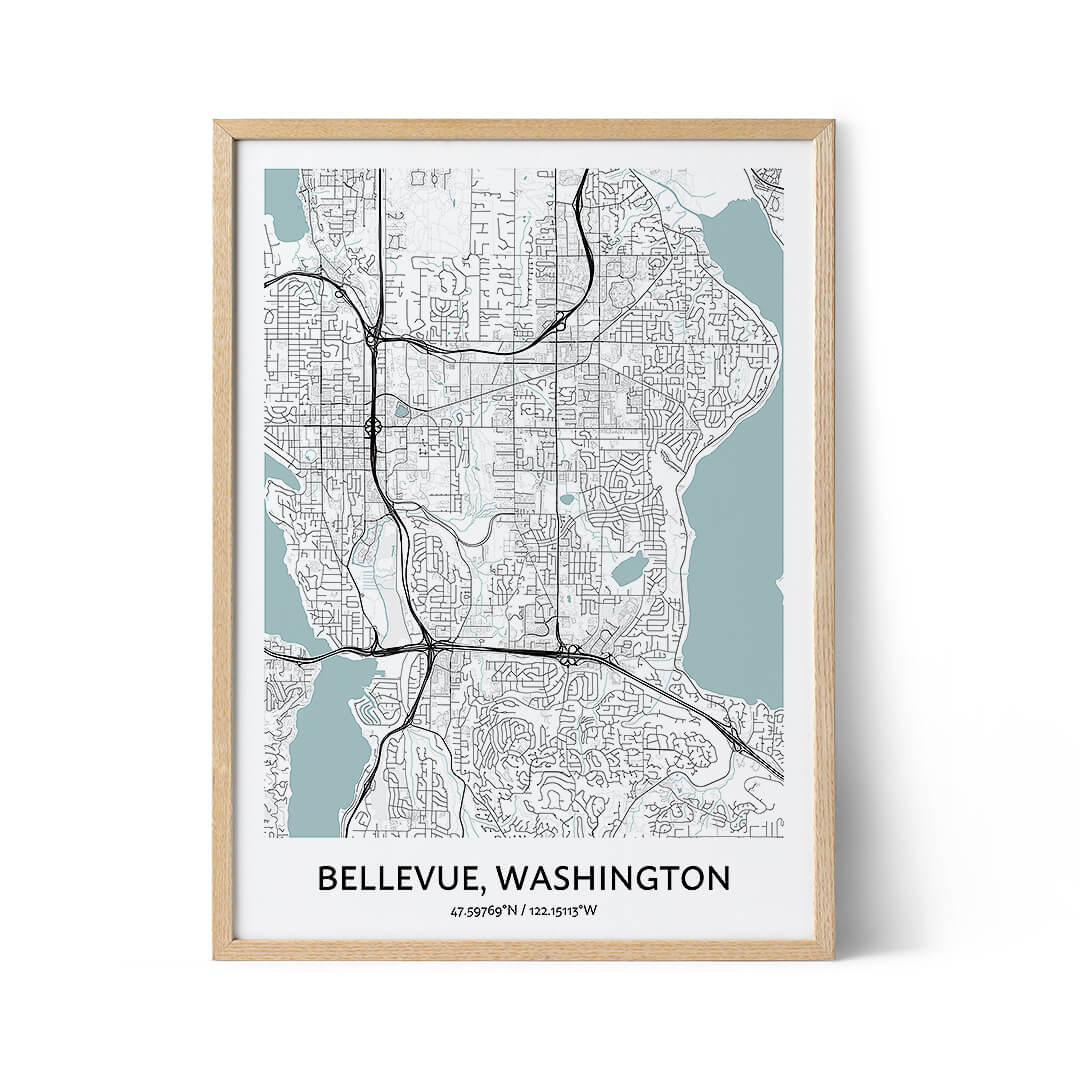 Bellevue city map poster