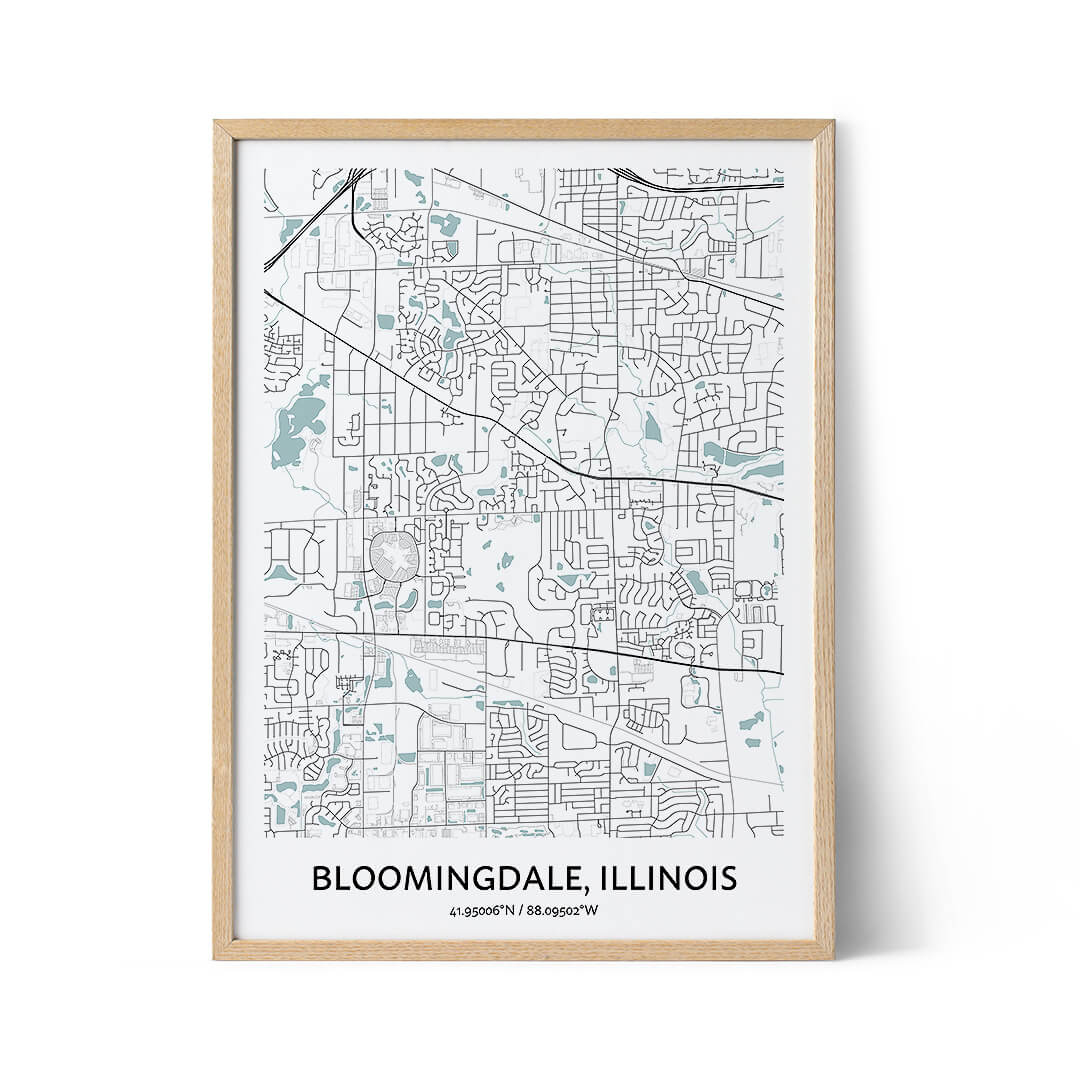 Bloomingdale city map poster