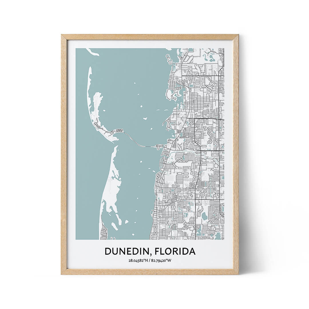 Dunedin city map poster