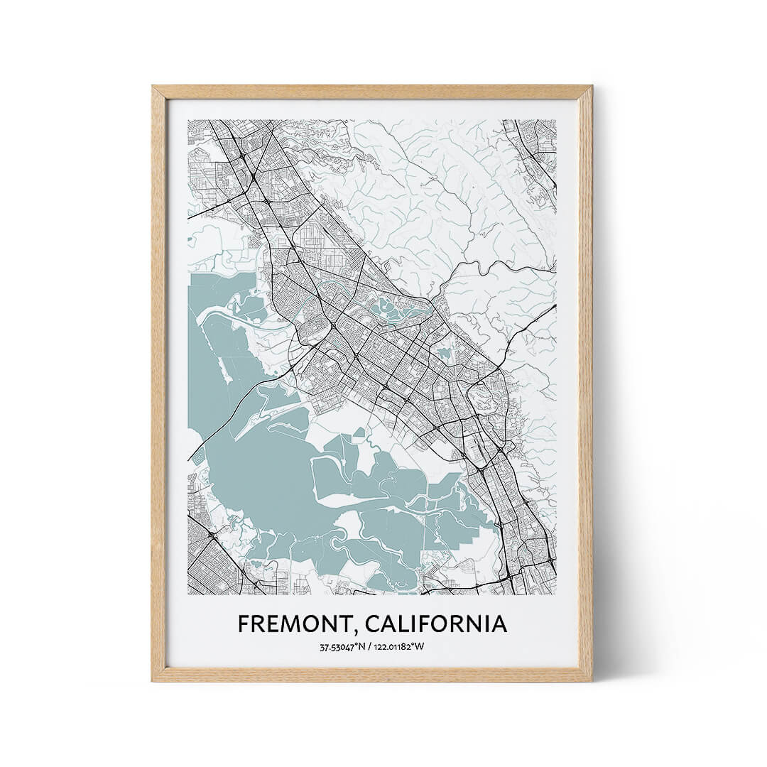 Fremont city map poster