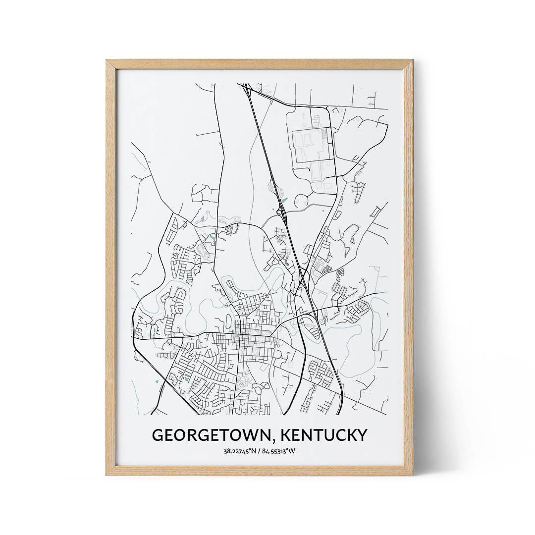Georgetown city map poster