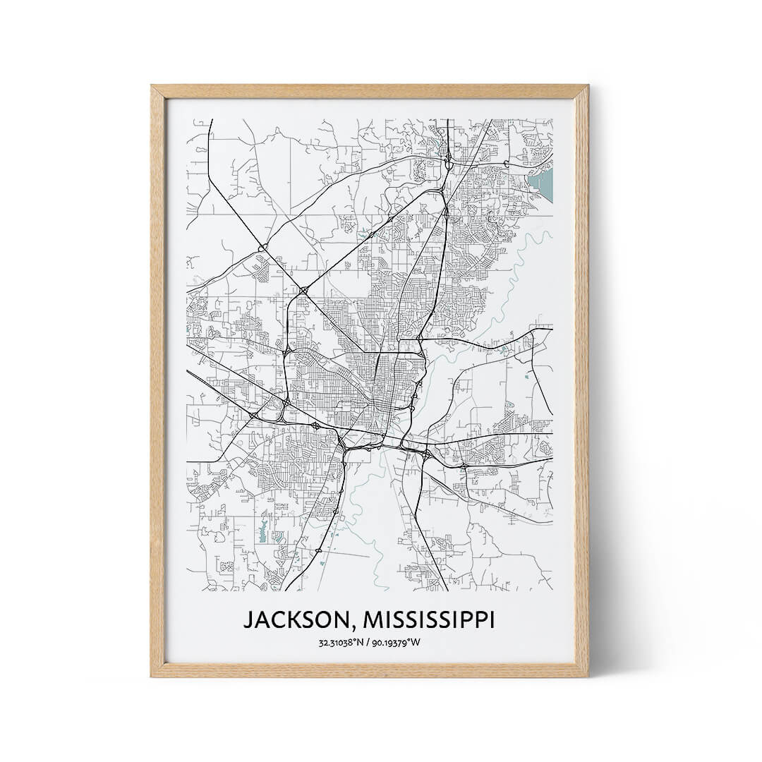 Jackson city map poaster