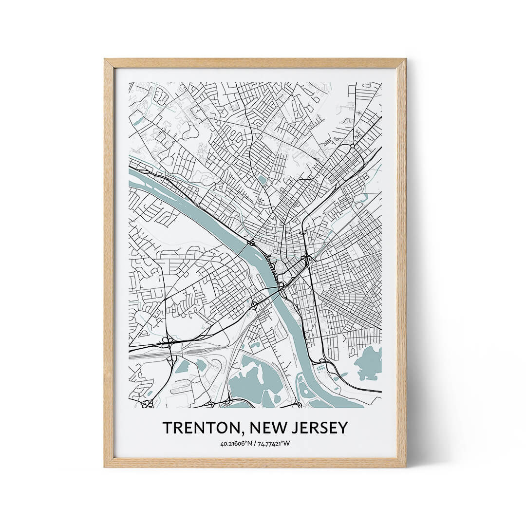 Trenton city map poster