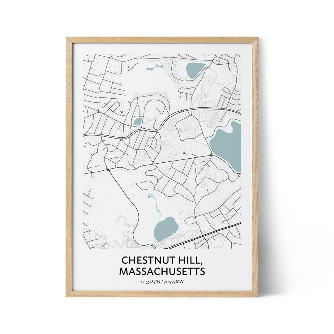 Chestnut Hill city map poster