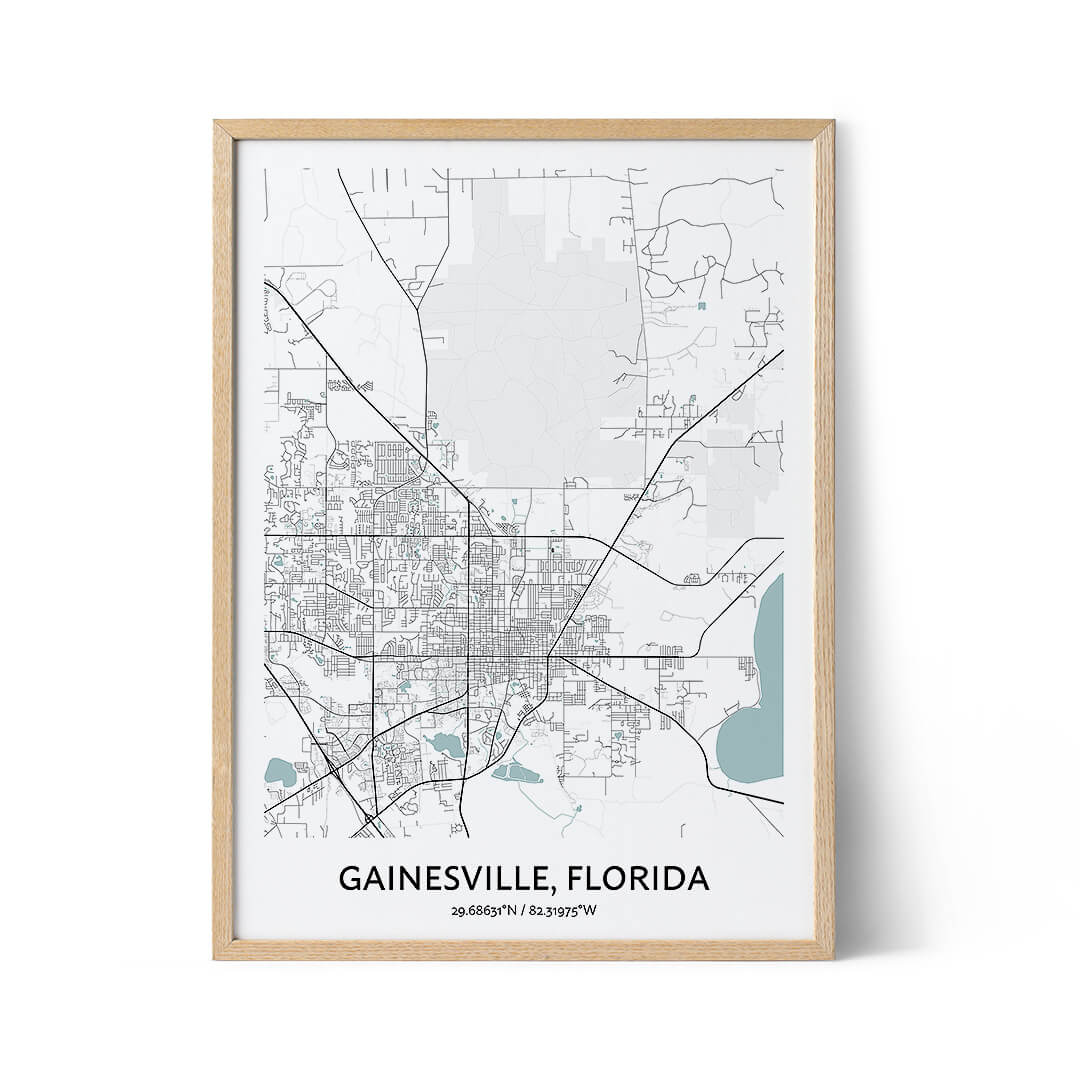 Gainesville city map poster