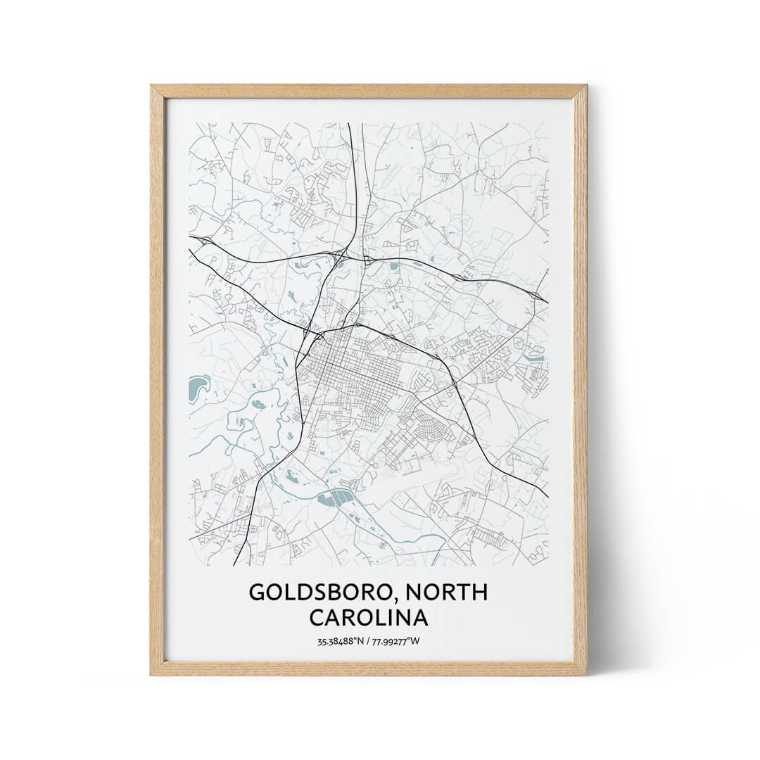 Goldsboro city map poster