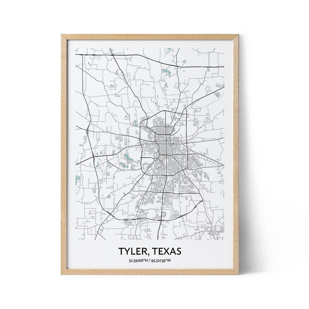 Tyler city map poster