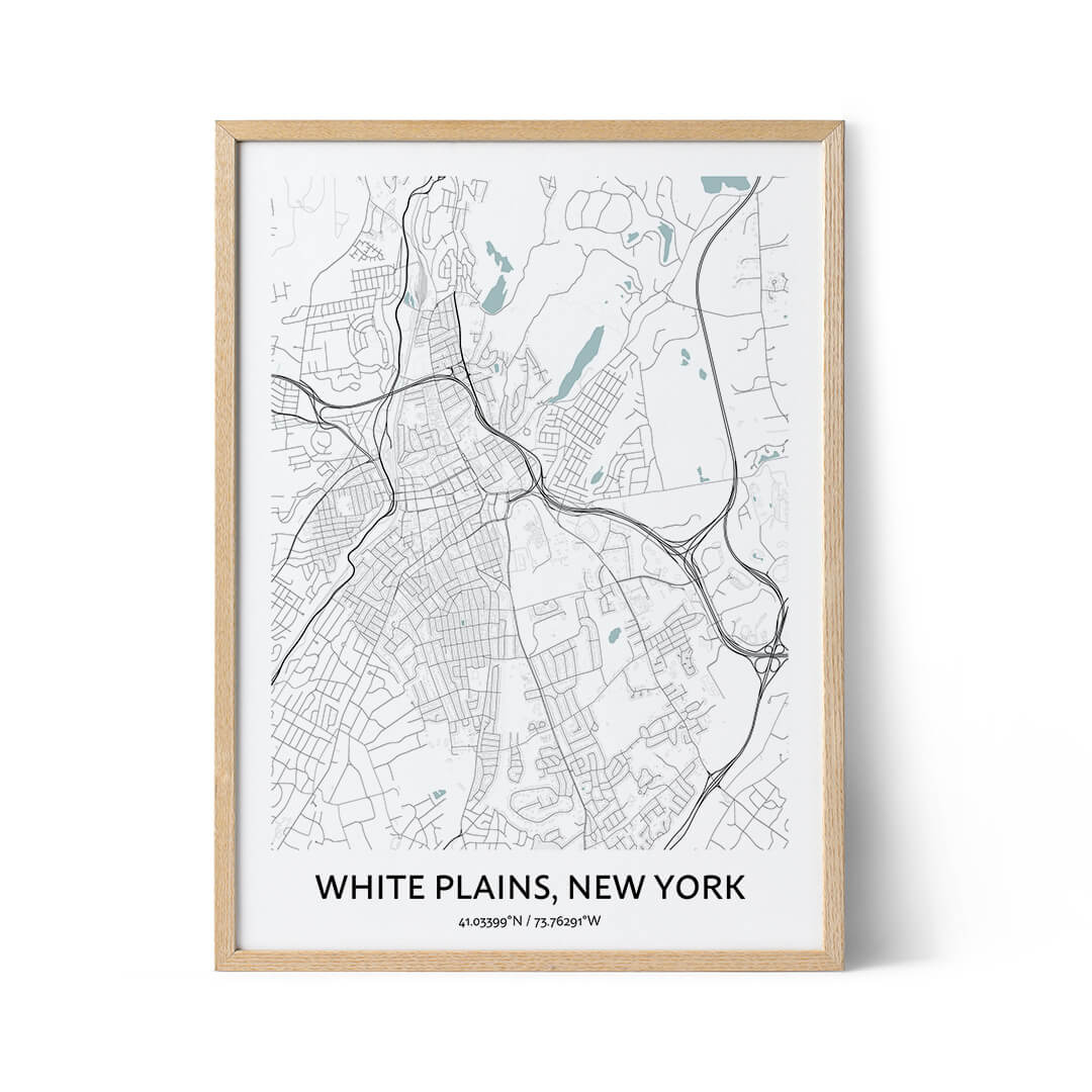 White Plains city map poster