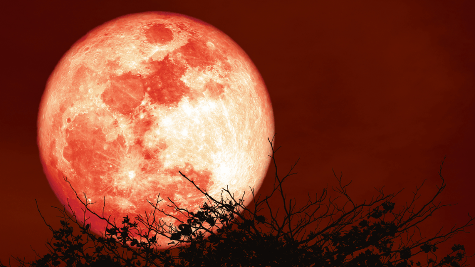 cielo rojo luna llena